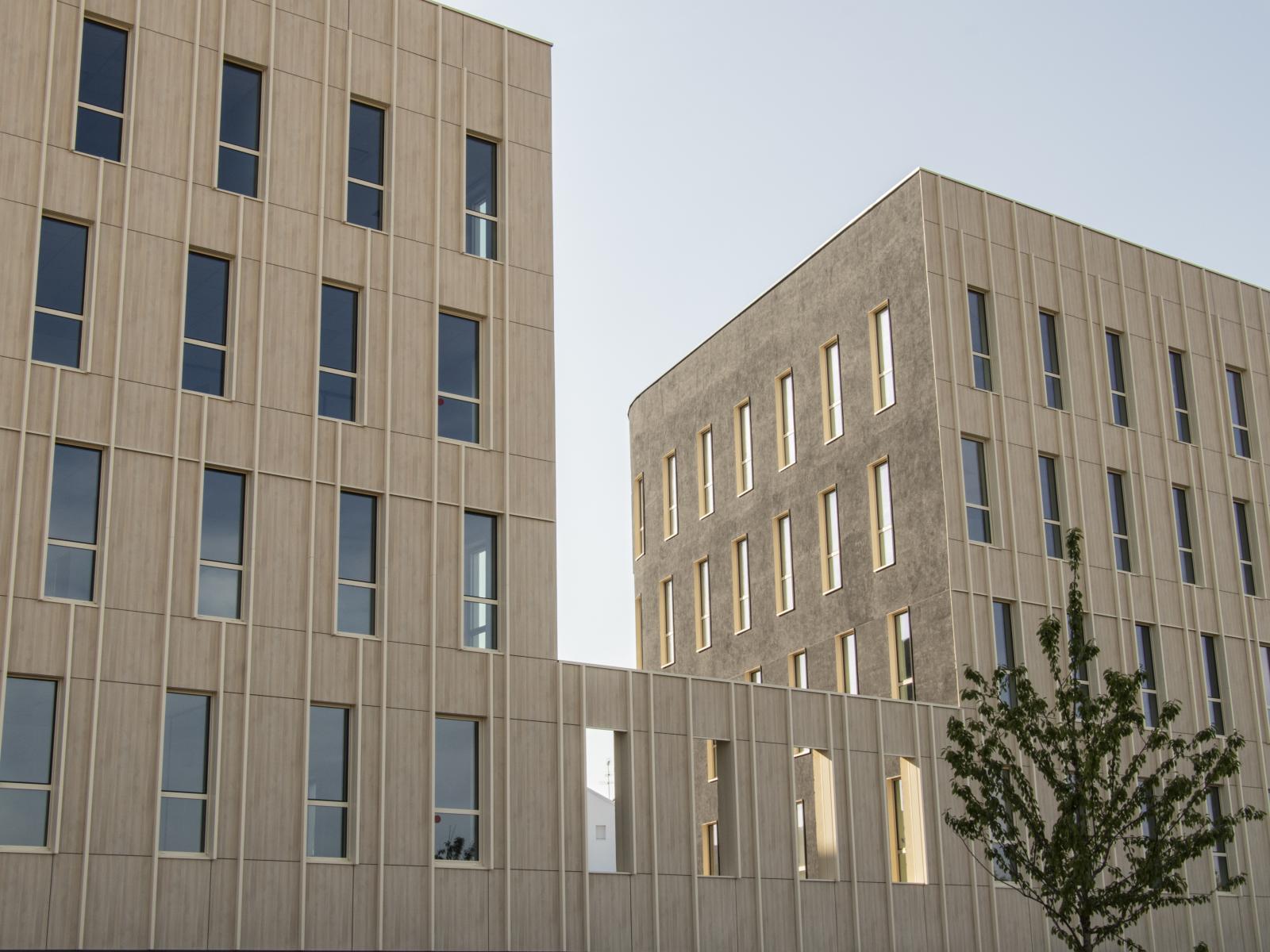 L'once Troy - photo 1