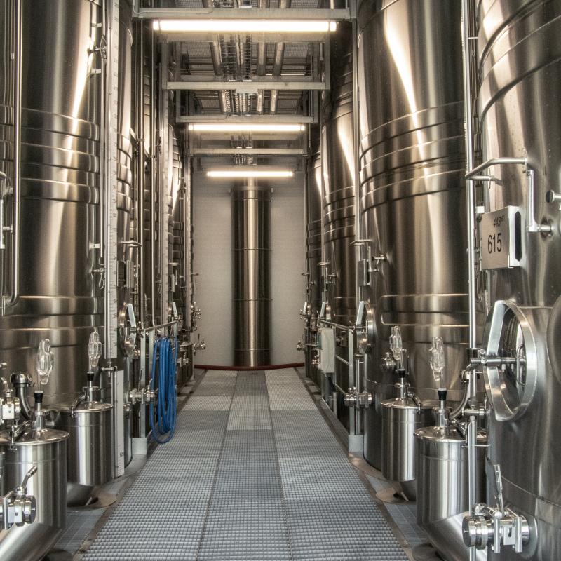 Terroirs & Vignerons de Champagne